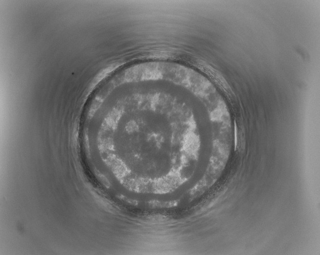 X0000114110483200911161122