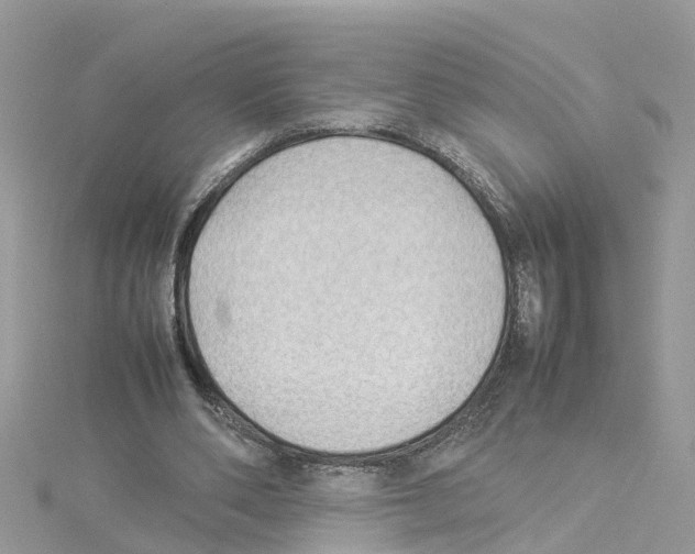 X0000114110486200911161122