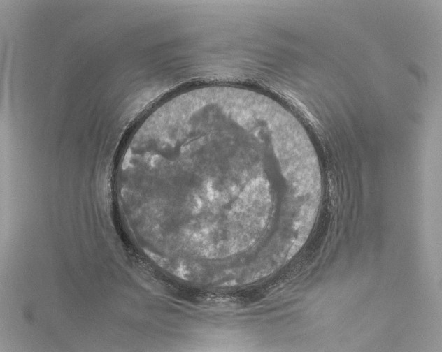 X0000114110487200911161122