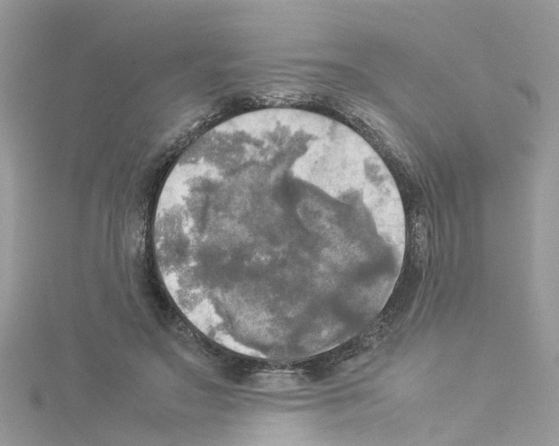 X0000114110499200911161121