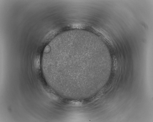 X0000114110502200911161121