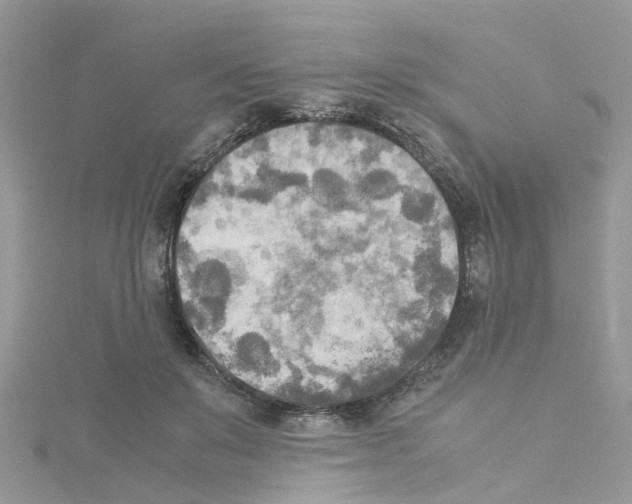 X0000114110503200911161121