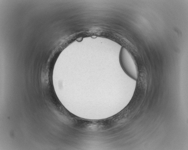 X0000114110504200911161121