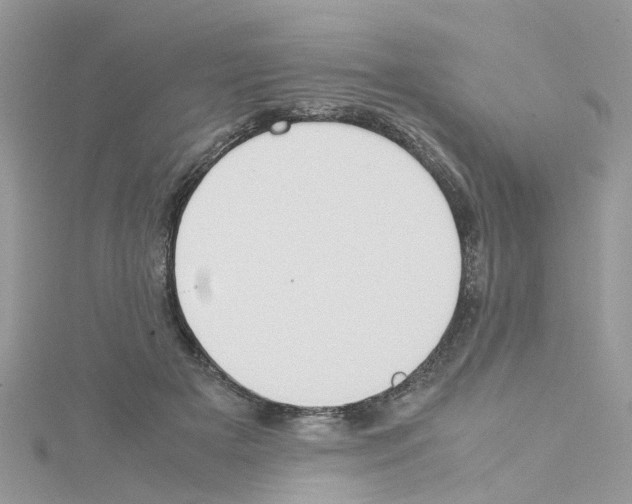 X0000114110505200911161121