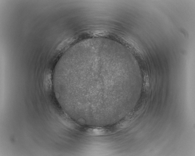 X0000114110506200911161121