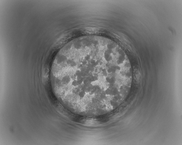 X0000114110507200911161121