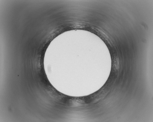 X0000114110512200911161121