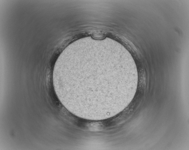 X0000114110513200911161121