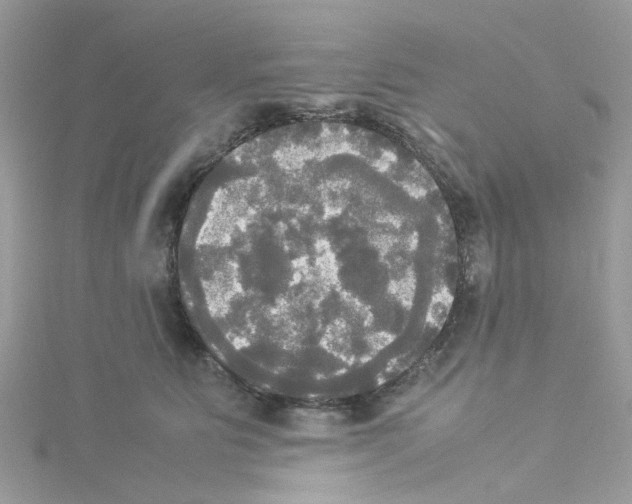 X0000114110515200911161121