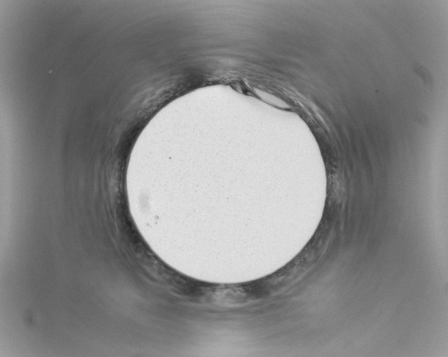 X0000114110517200911161121