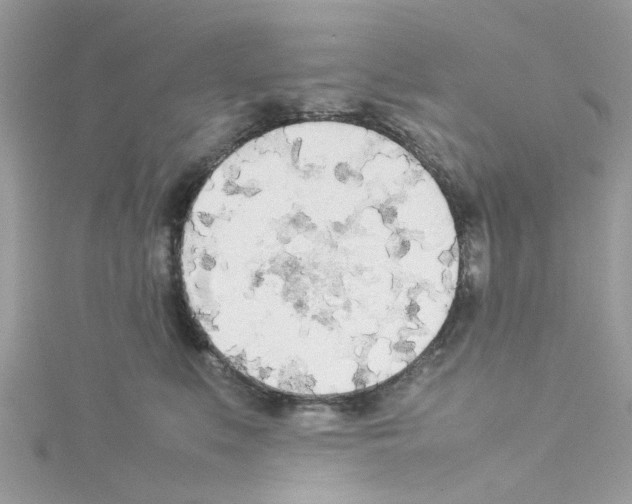 X0000114110519200911161121