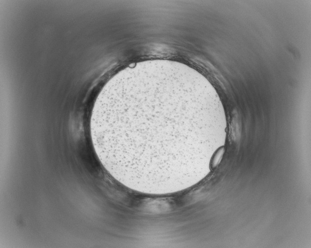 X0000114110520200911161121