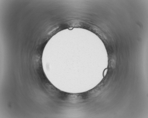 X0000114110521200911161121