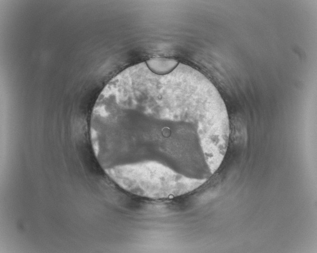 X0000114110523200911161121