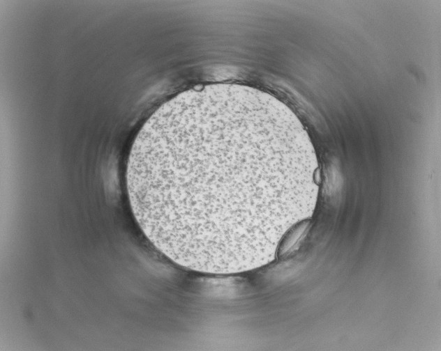 X0000114110524200911161121