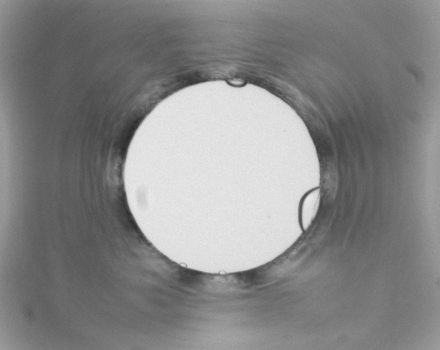 X0000114110525200911161121