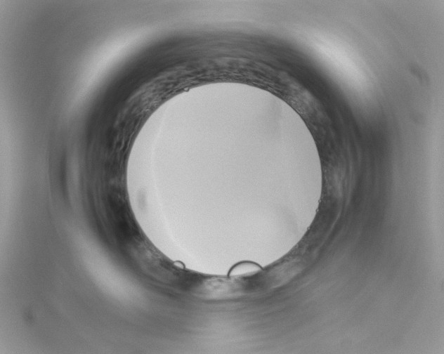 X0000114110526200911161121