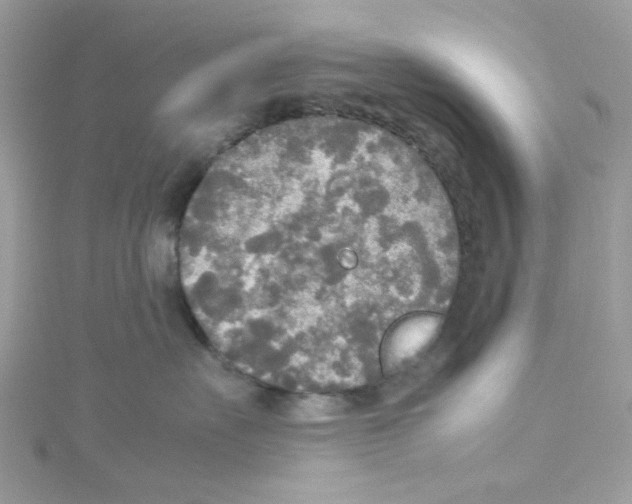 X0000114110527200911161121