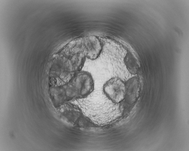 X0000114110529200911161120