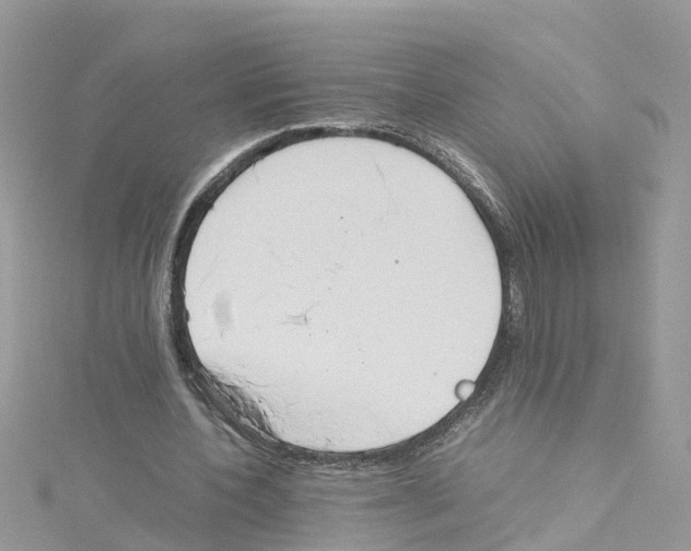 X0000114110532200911161121