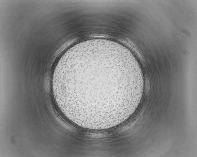 X0000114110533200911161121