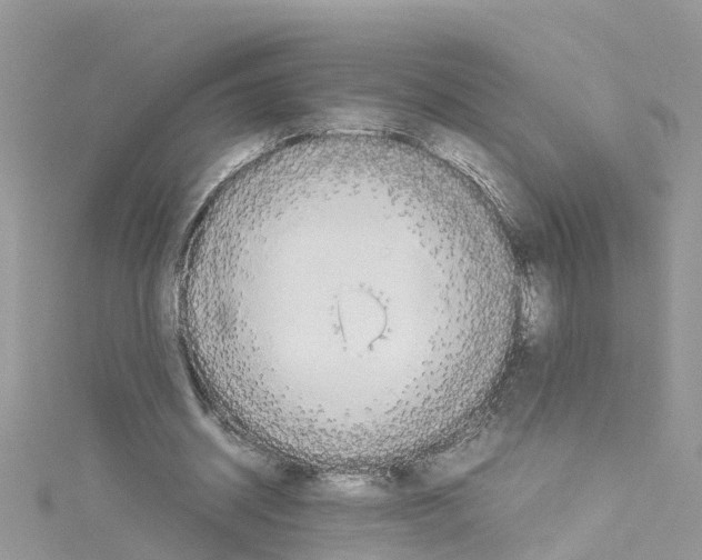 X0000114110534200911161121