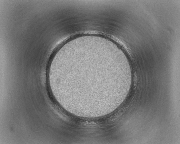 X0000114110535200911161121