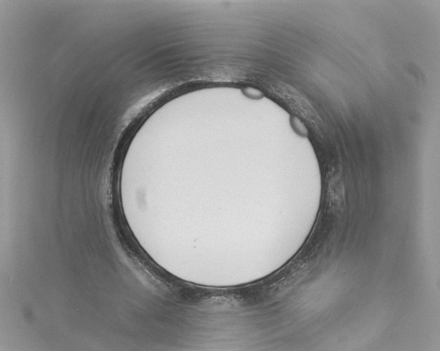 X0000114110536200911161121