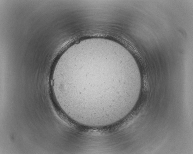 X0000114110538200911161121