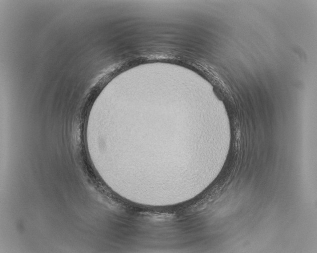 X0000114110539200911161121