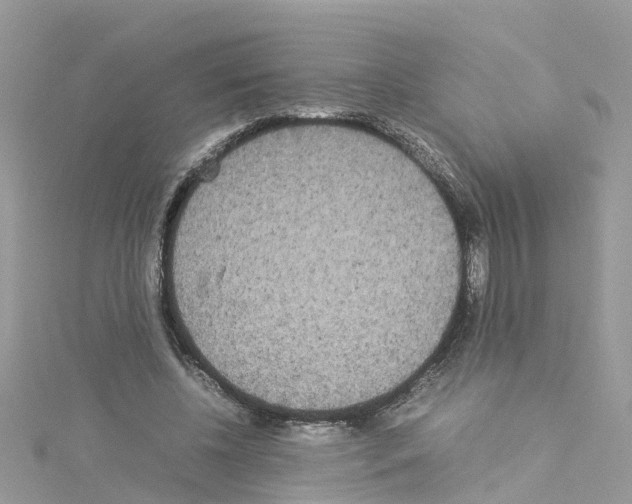 X0000114110540200911161121