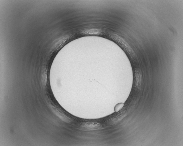 X0000114110541200911161121