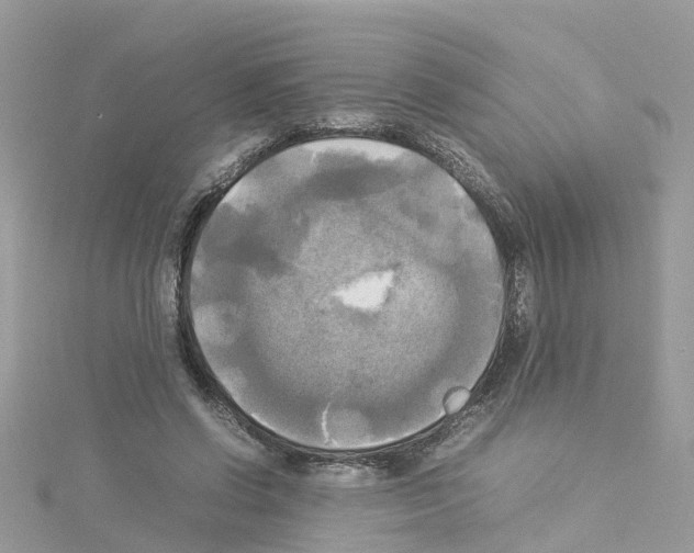 X0000114110542200911161121