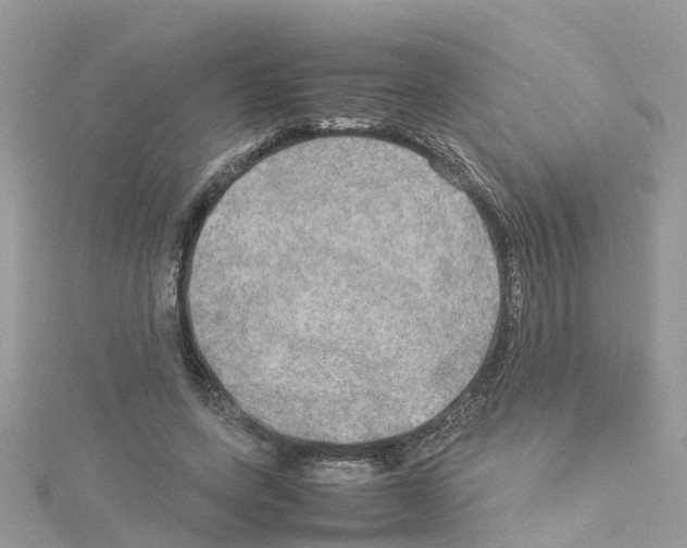 X0000114110543200911161121