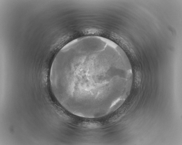 X0000114110545200911161121