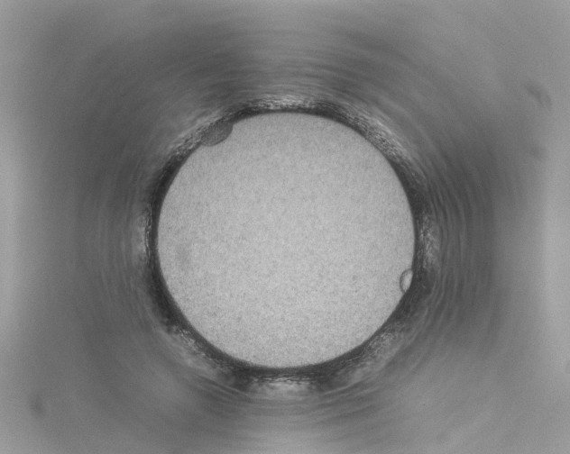 X0000114110546200911161121