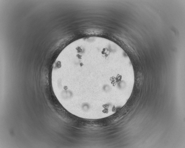 X0000114110547200911161121