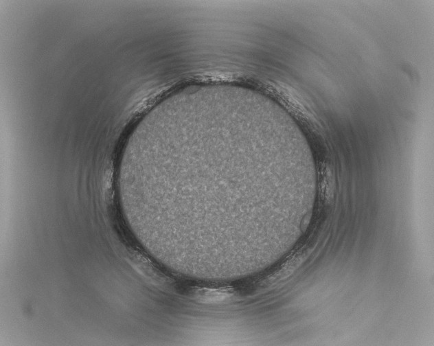 X0000114110548200911161121