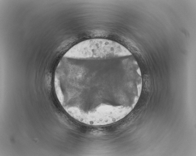 X0000114110550200911161121