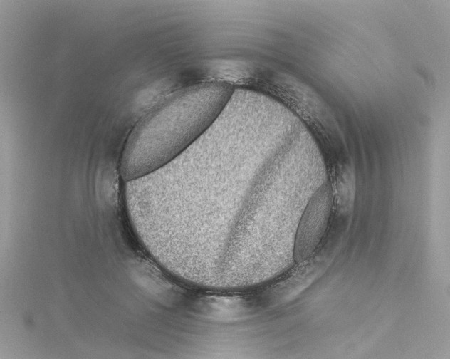 X0000114110552200911161121