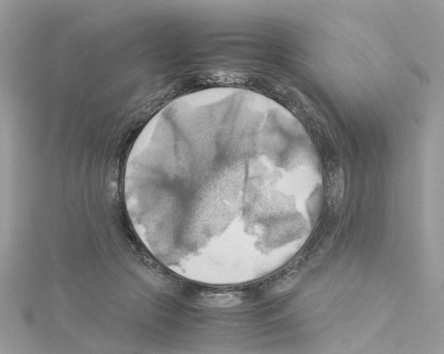 X0000114110553200911161121