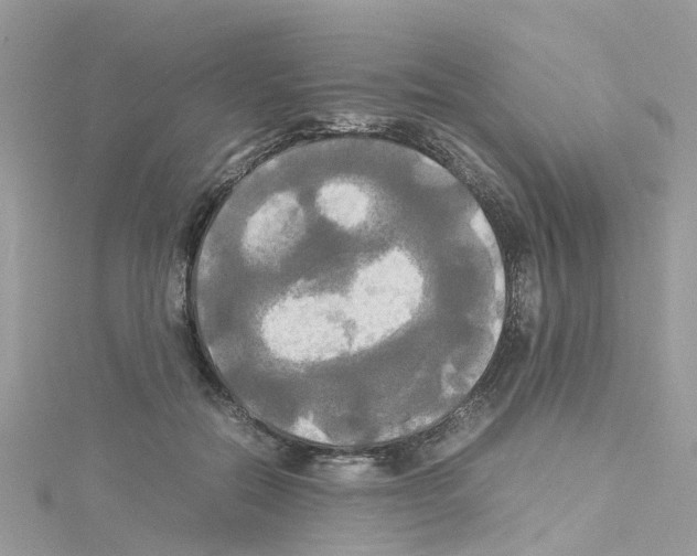 X0000114110554200911161121