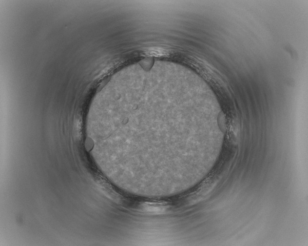 X0000114110556200911161121