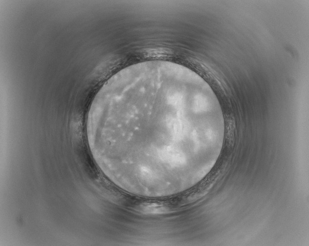 X0000114110557200911161121