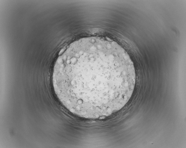 X0000114110558200911161121