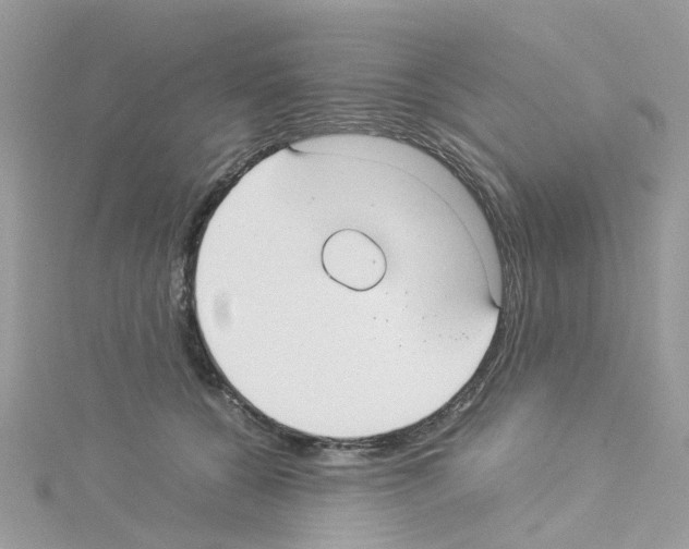 X0000114110560200911161121