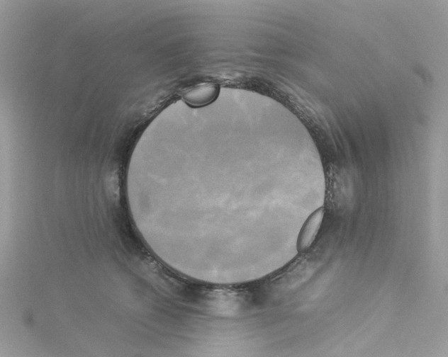 X0000114110562200911161121