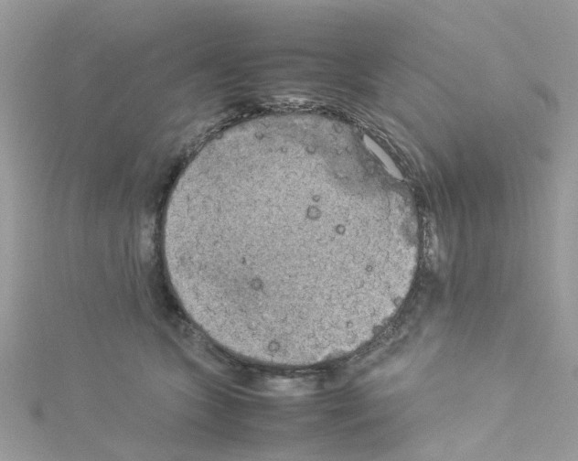 X0000114110563200911161121