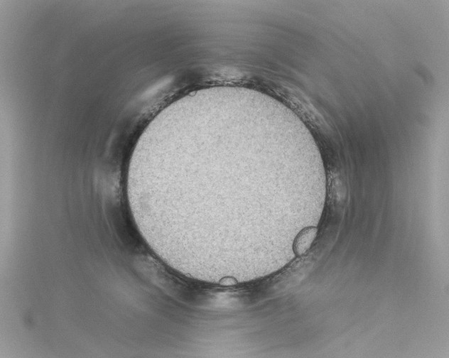 X0000114110564200911161121