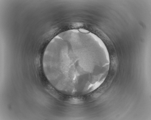 X0000114110565200911161121